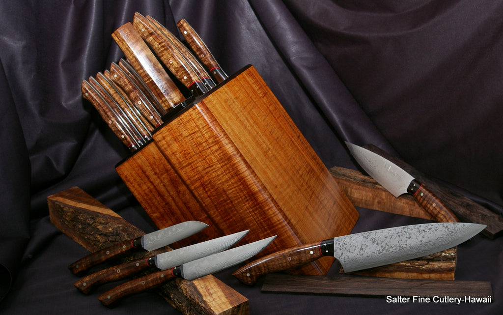 19-piece chef and steak knife set in knife block by Salter Fine Cutlery