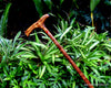 Cane 34-inch presentation grade curly koa wood handcrafted in Hawaii by SalterFineCutlery and custom woodworking