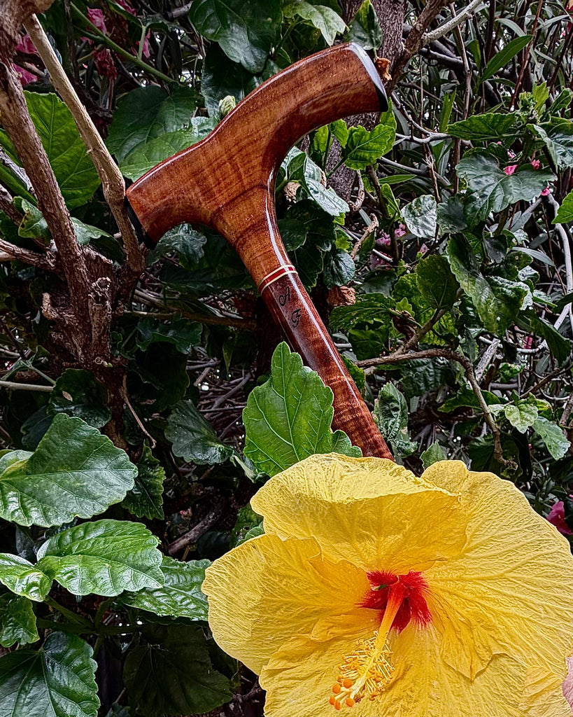Cane 31-inch custom made with curly koa wood plus blackwood handle accents and brass and red decorative accents by SalterFineCutlery