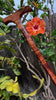 Beautiful Hawaiian curly koa wood canes handcrafted and cut to client's preferred length SalterFineCutlery and custom woodworking