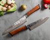 2-piece chef knife set luxury cutlery handmade by SalterFineCutlery