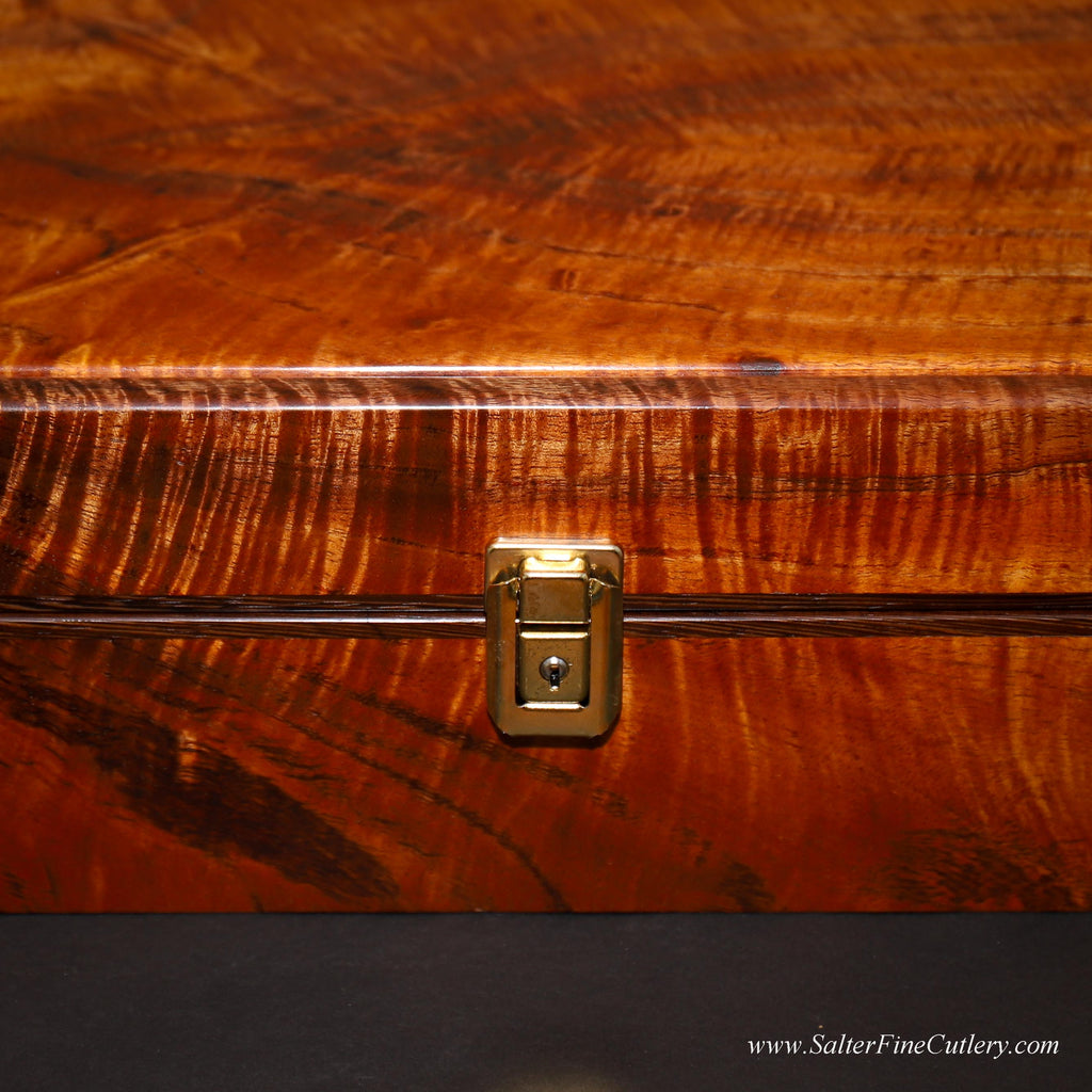 Close-up of a wooden case with a brass lock, featuring Salter Fine Cutlery branding.