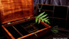 Jewelry box mens XXL open with dark pheasant wood trays handcrafted in Hawaii by SalterFineCutlery custom woodworking