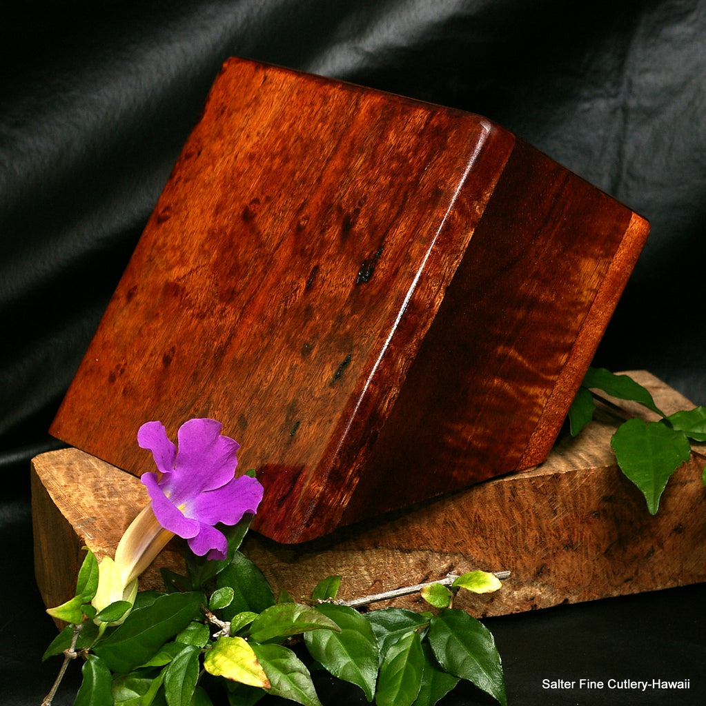 Mini traditional knife block for steak knives by SalterFineCutlery beautiful kitchen decor for small kitchens